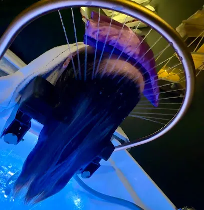 Nails & Head Spa by Megan - Head Spa