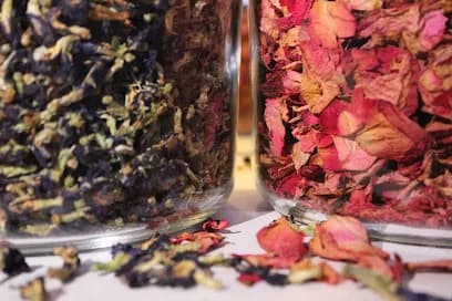 Lunaria Head Spa - Head Spa