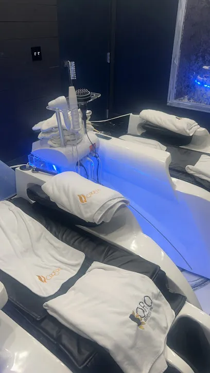 ORO SPA Dearborn Heights - Head Spa